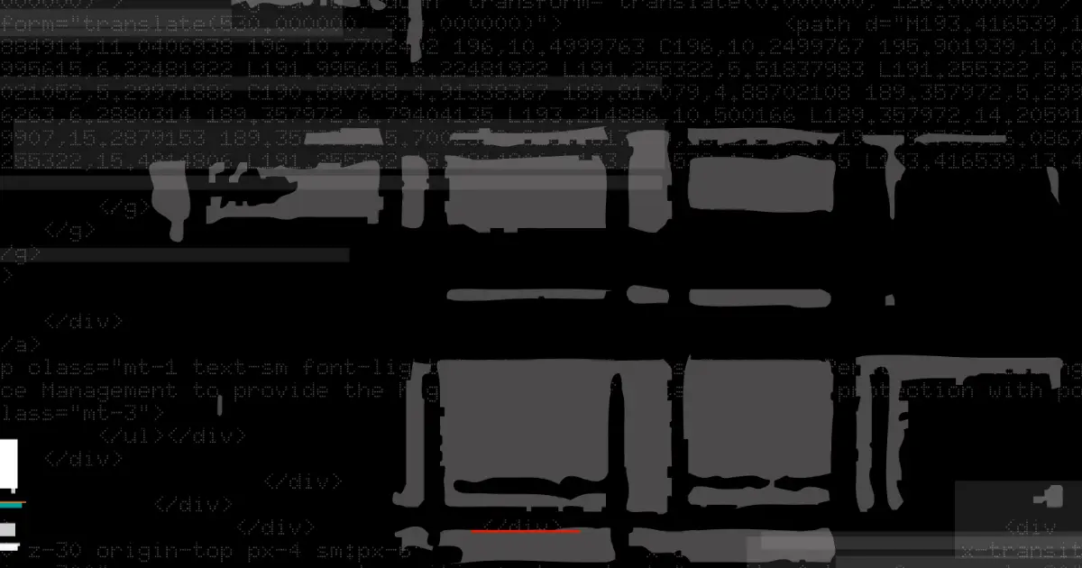 The Bishop Fox Internship Program: Mexico Foxes Assemble!